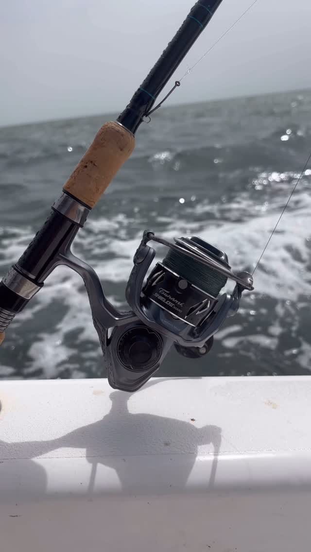 Post 5 by Captain Wayne Piermatteo on Instagram (video)