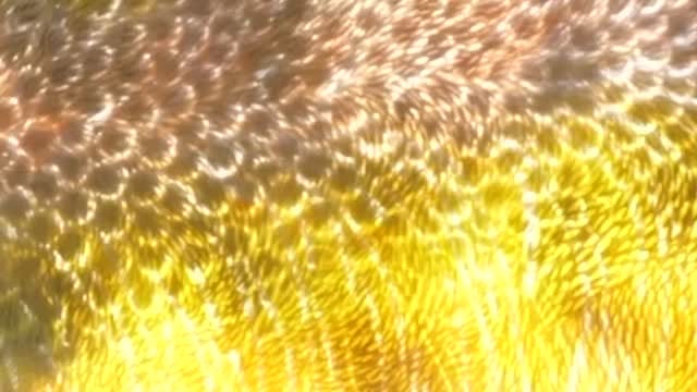 Post 4 by Bullseye Glass Co. on Instagram (video)