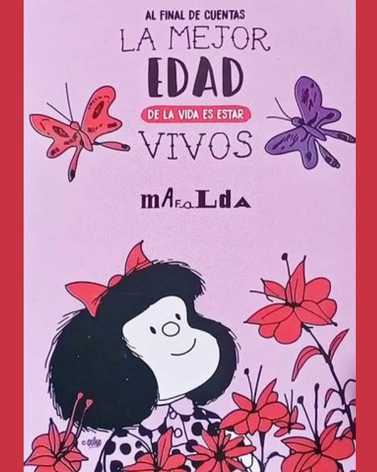 Post 5 by Mafalda no Brasil on Instagram (image)