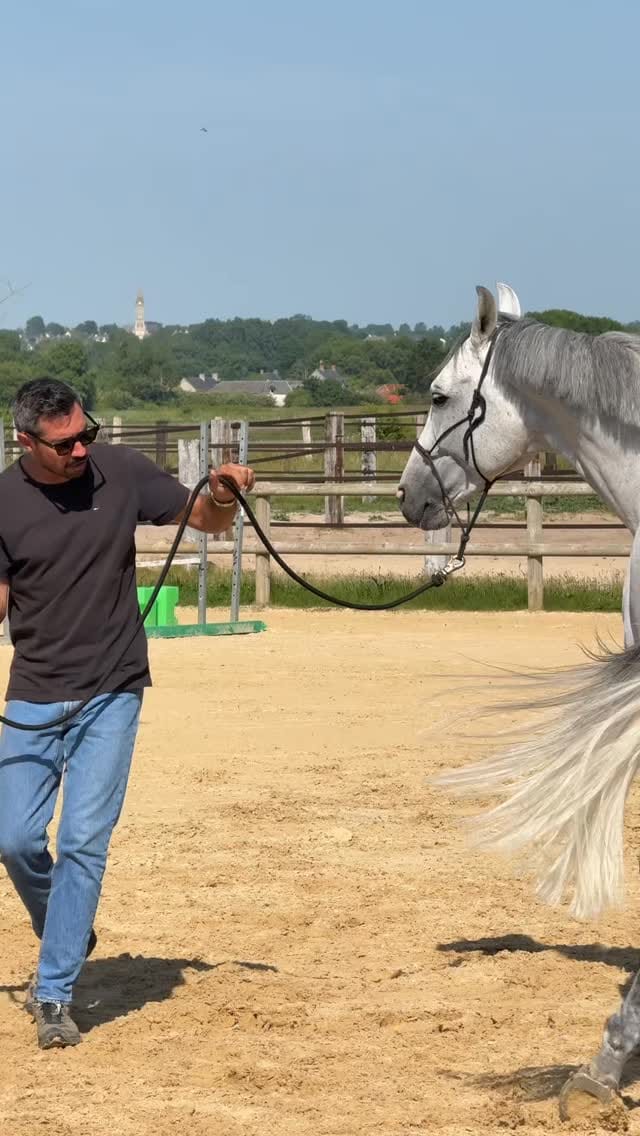 Post 1 by Maxime Baticle HMS 🇫🇷 on Instagram (video)