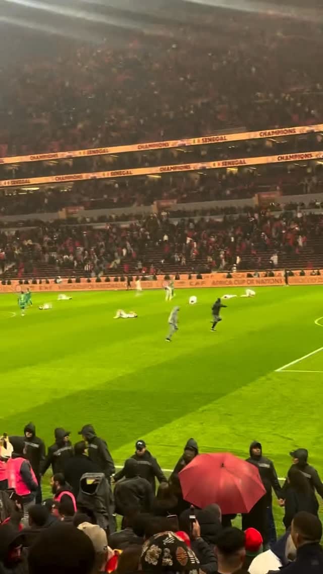 Post 3 by Samy Perles 🐺 on Instagram (video)