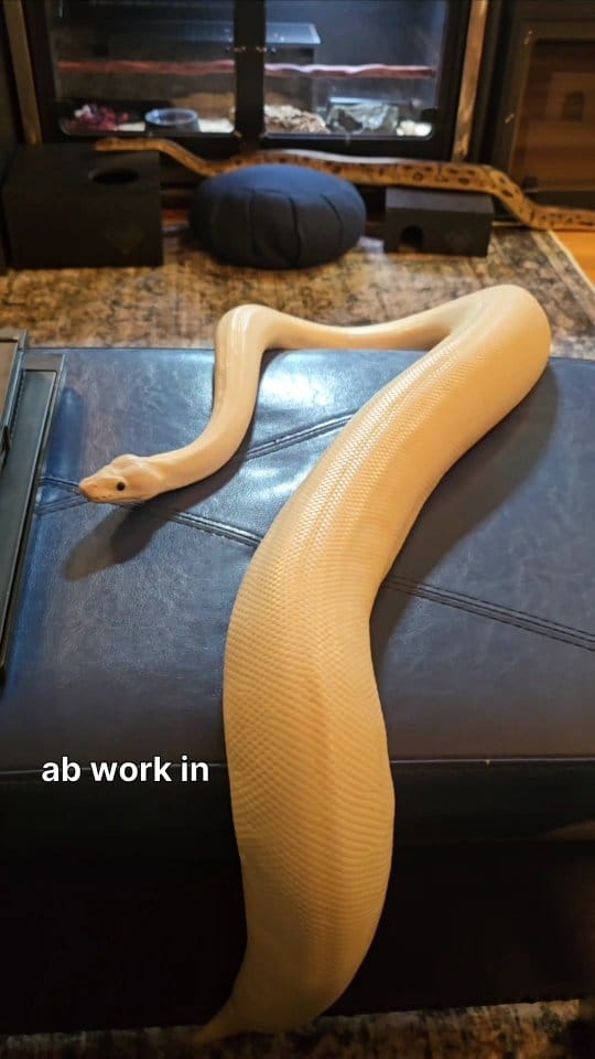 Post 9 by Bob Bledsoe on Instagram (video)