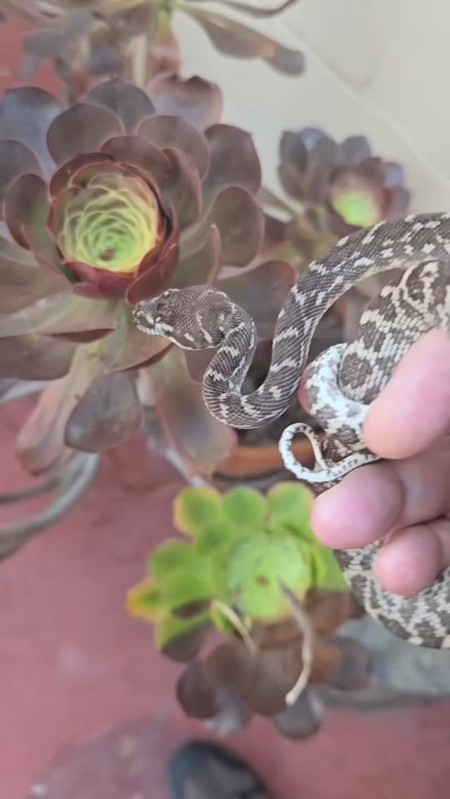 Post 6 by Bob Bledsoe on Instagram (video)