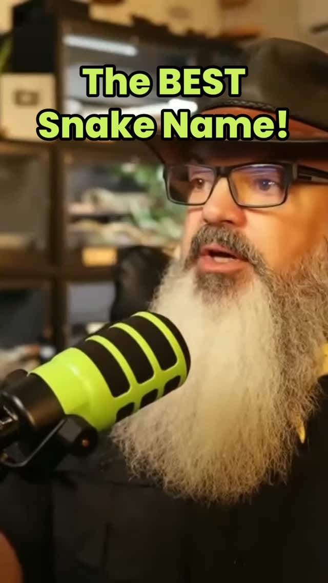 Post 3 by Bob Bledsoe on Instagram (video)