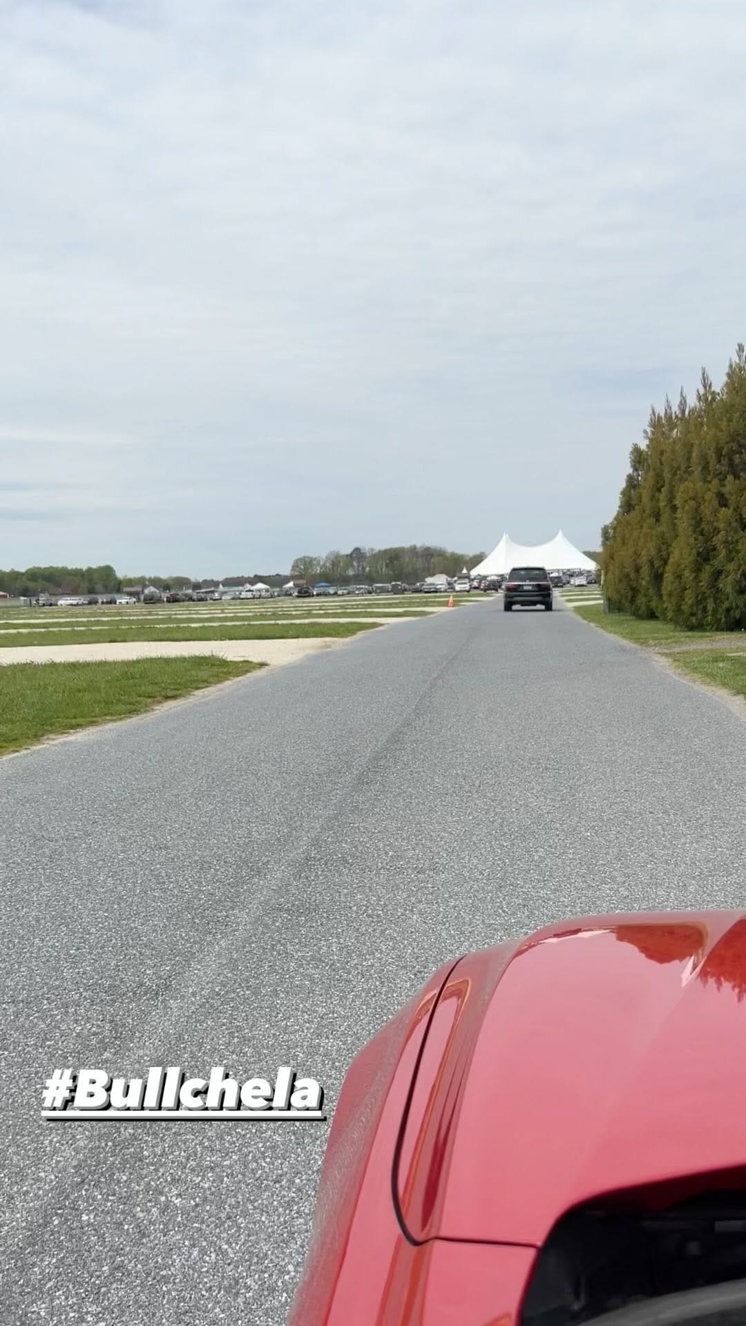 Post 2 by AllSpark kennels on Instagram (video)