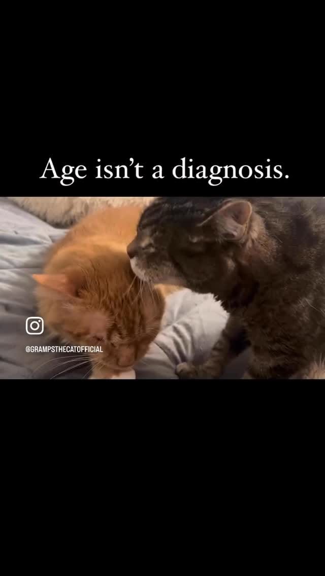 Post 7 by Gramps and Friends on Instagram (video)