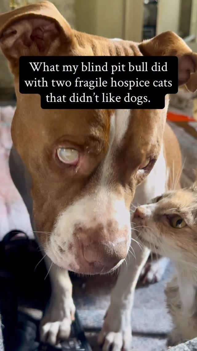 Post 1 by Gramps and Friends on Instagram (video)