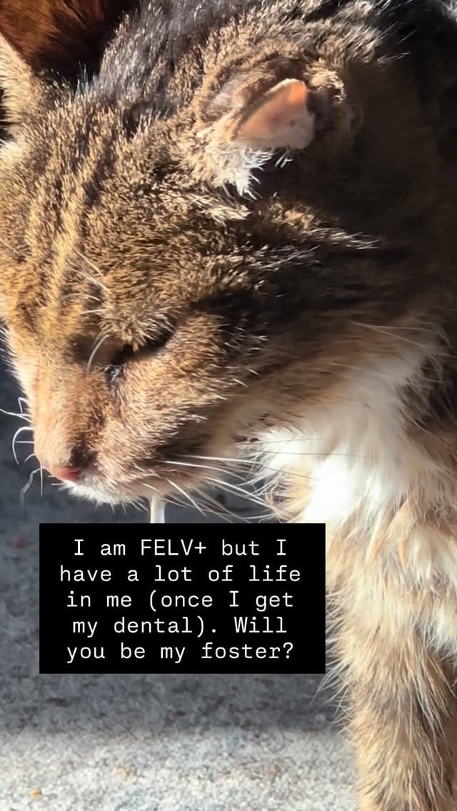 Post 6 by Gramps and Friends on Instagram (video)