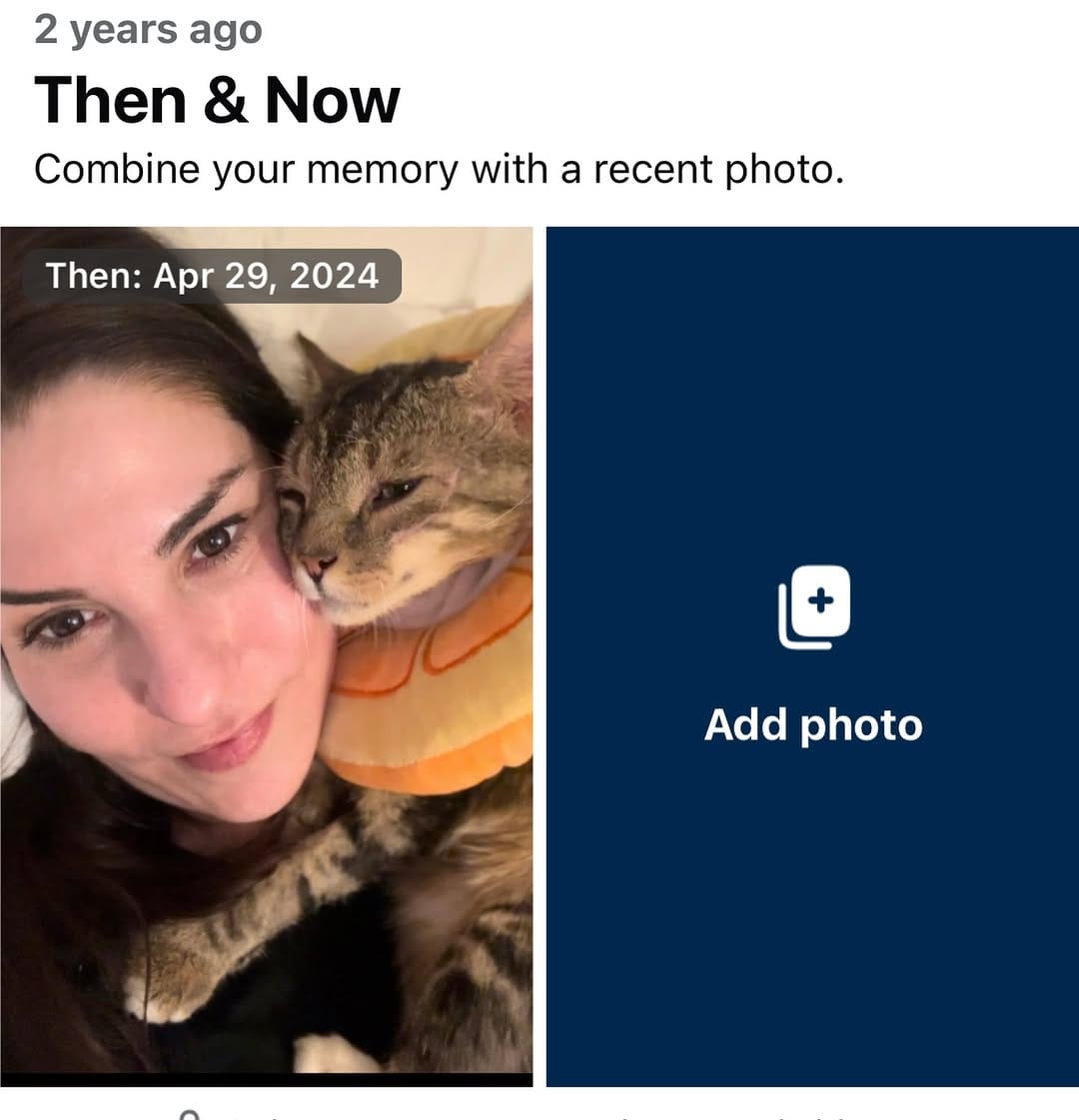 Post 4 by Gramps and Friends on Instagram (image)