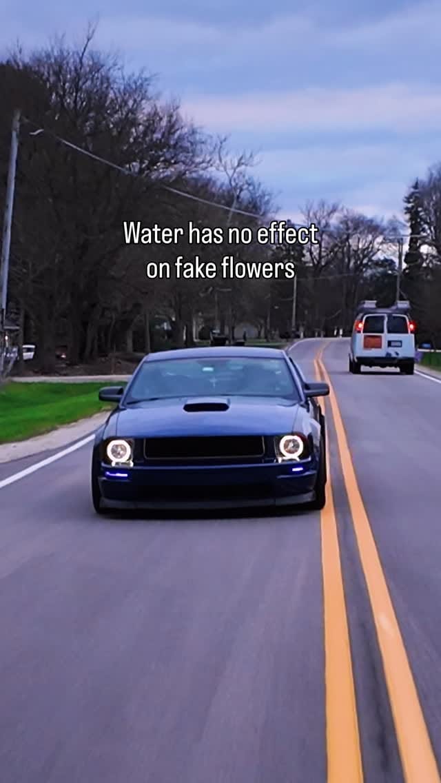 Post 3 by Brian Zimmerman on Instagram (video)