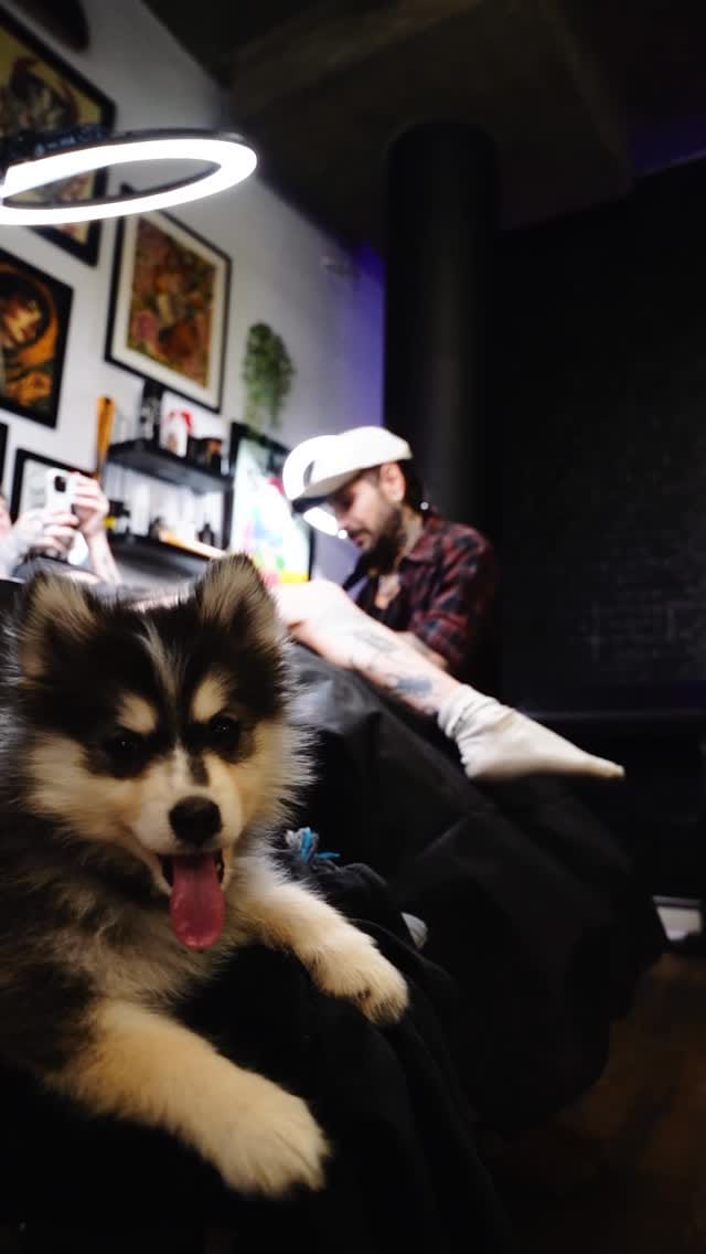 Post 5 by ✶ Gabe Motta NEOTRADICIONAL ✶ on Instagram (video)