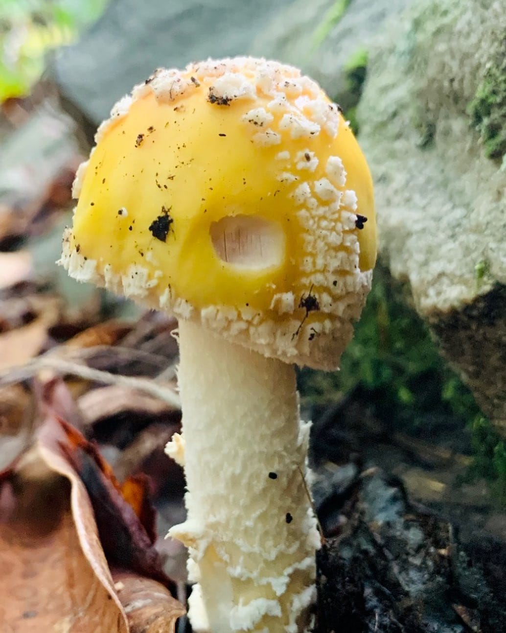 Post 5 by Collin Vogt on Instagram (image)