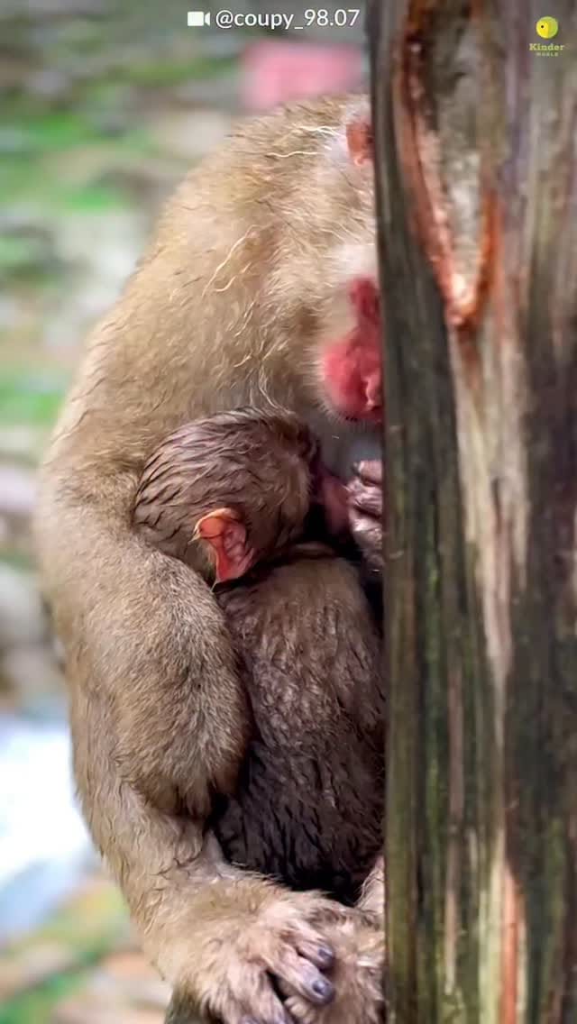 Post 6 by Edel Sanders on Instagram (video)
