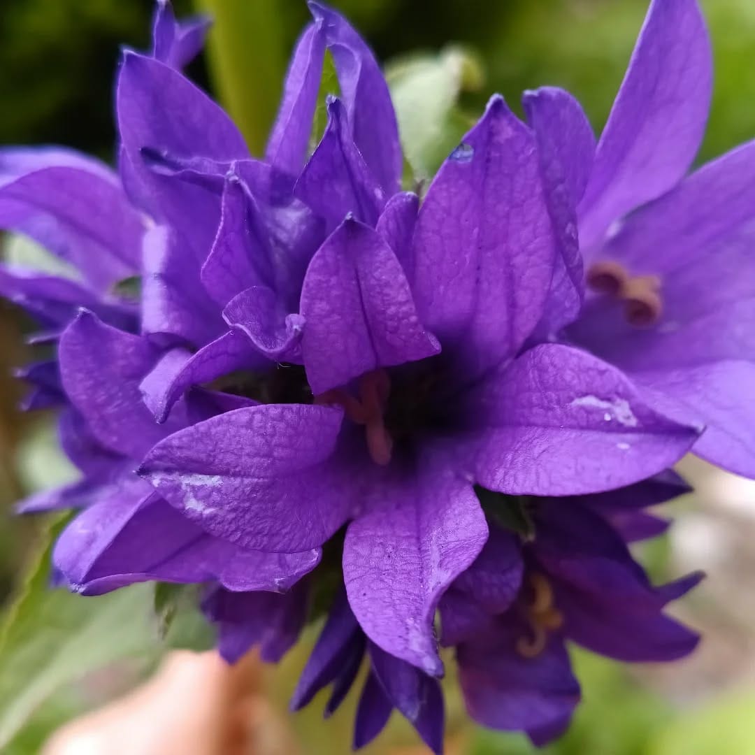 Post 3 by Edel Sanders on Instagram (image)