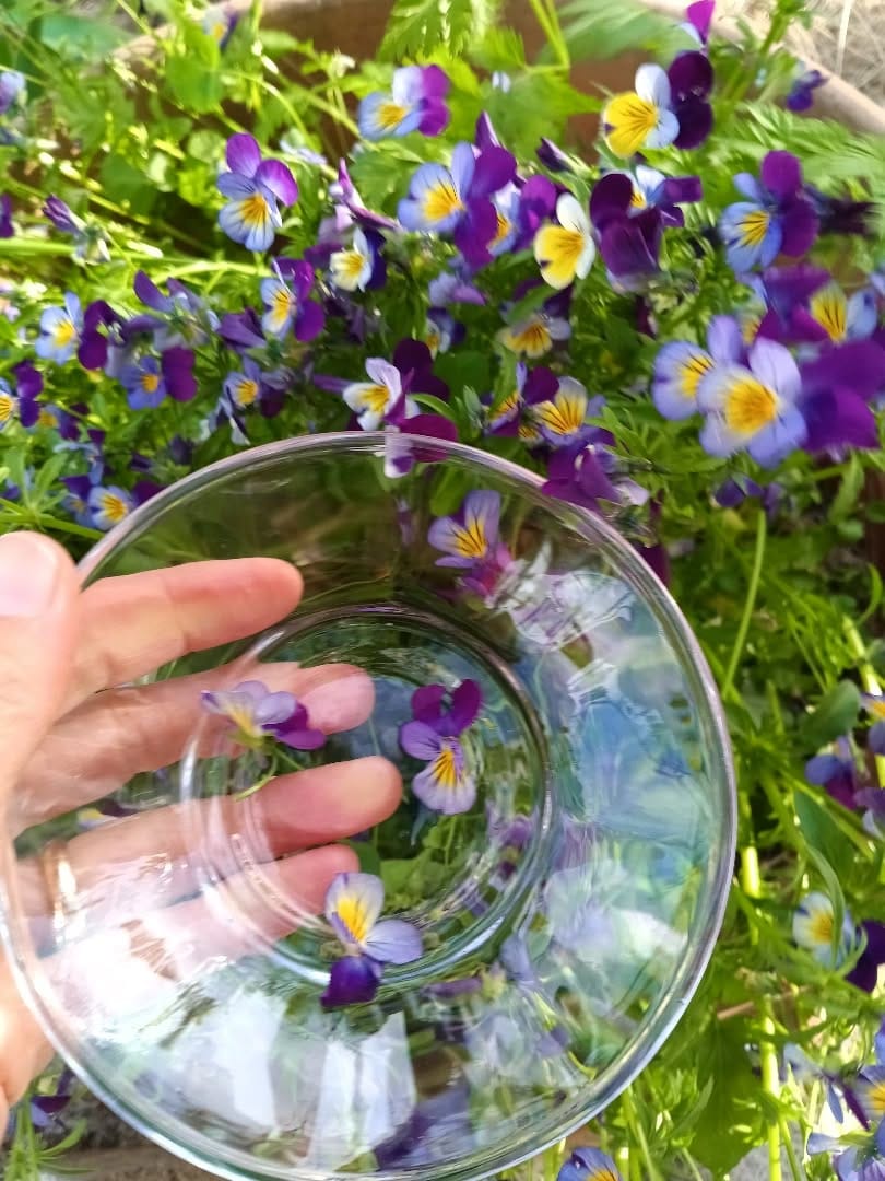 Post 9 by Edel Sanders on Instagram (image)