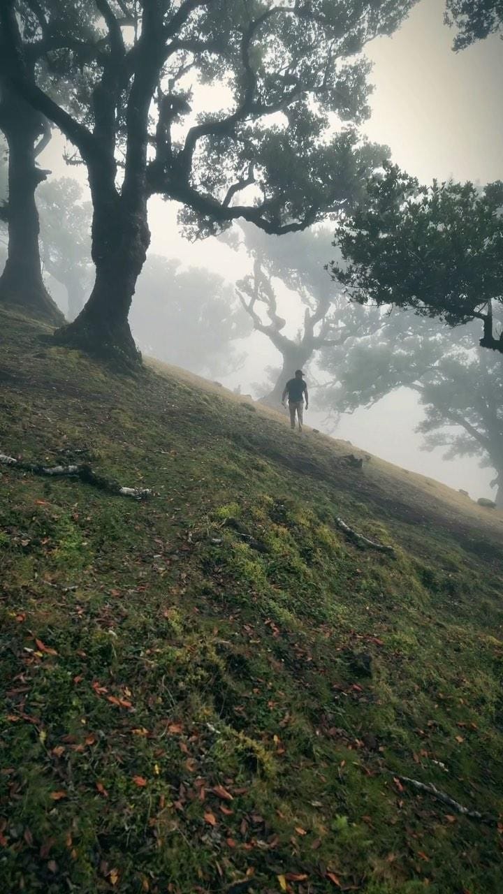 Post 2 by Haroon Saleemi on Instagram (video)