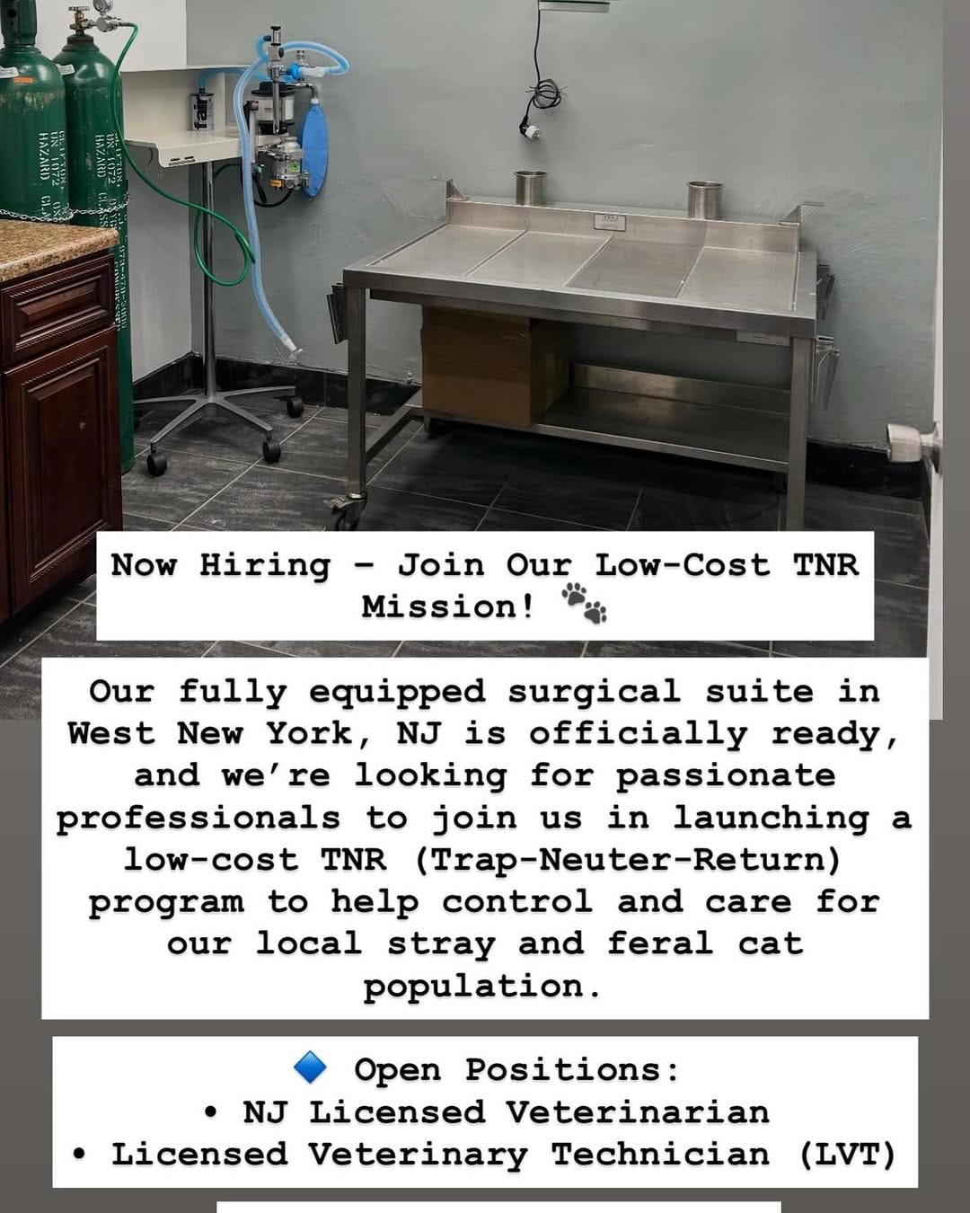 Post 1 by NJ Humane Society on Instagram (image)
