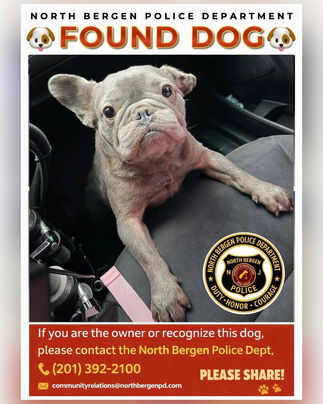 Post 3 by NJ Humane Society on Instagram (image)