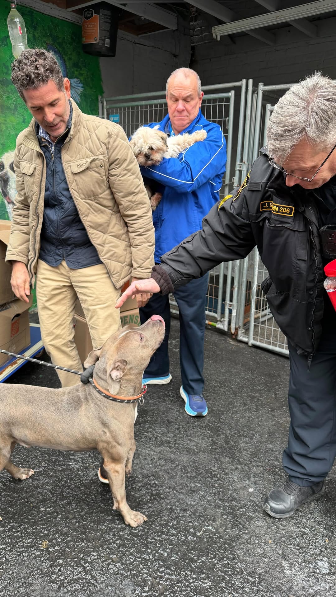 Post 5 by NJ Humane Society on Instagram (video)