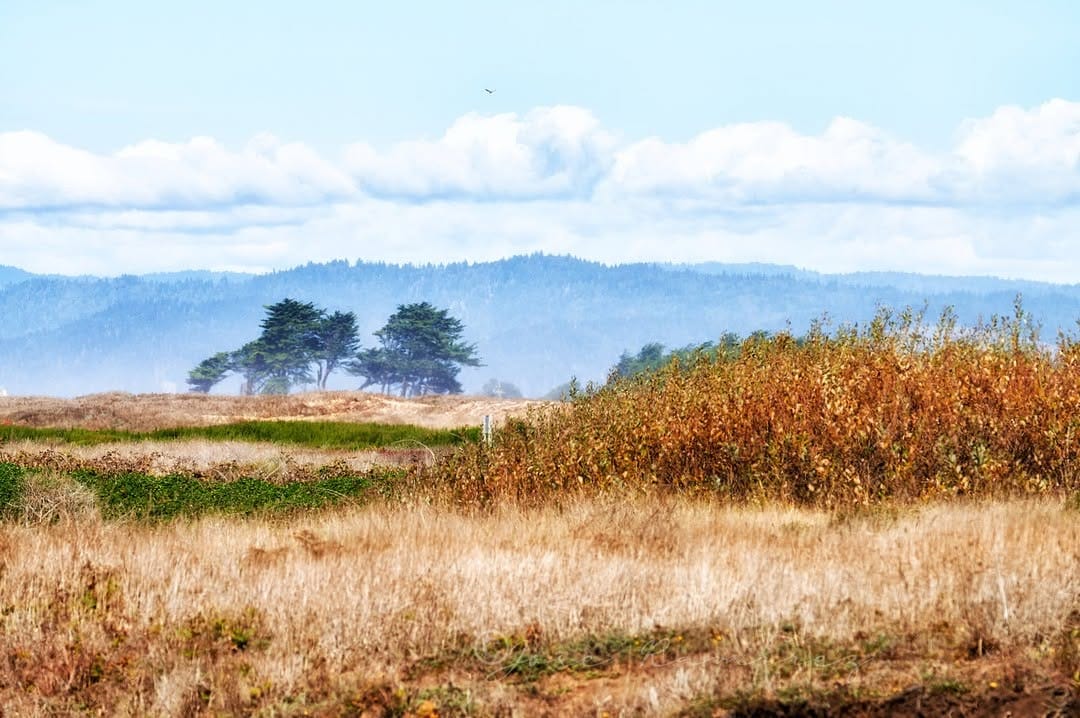 Post 10 by Jose Ramírez on Instagram (image)