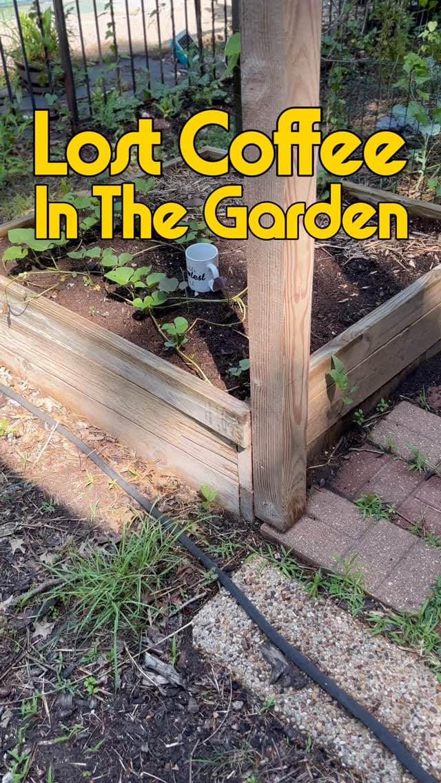Post 2 by Graylen Brown | Texas Master Gardener on Instagram (video)