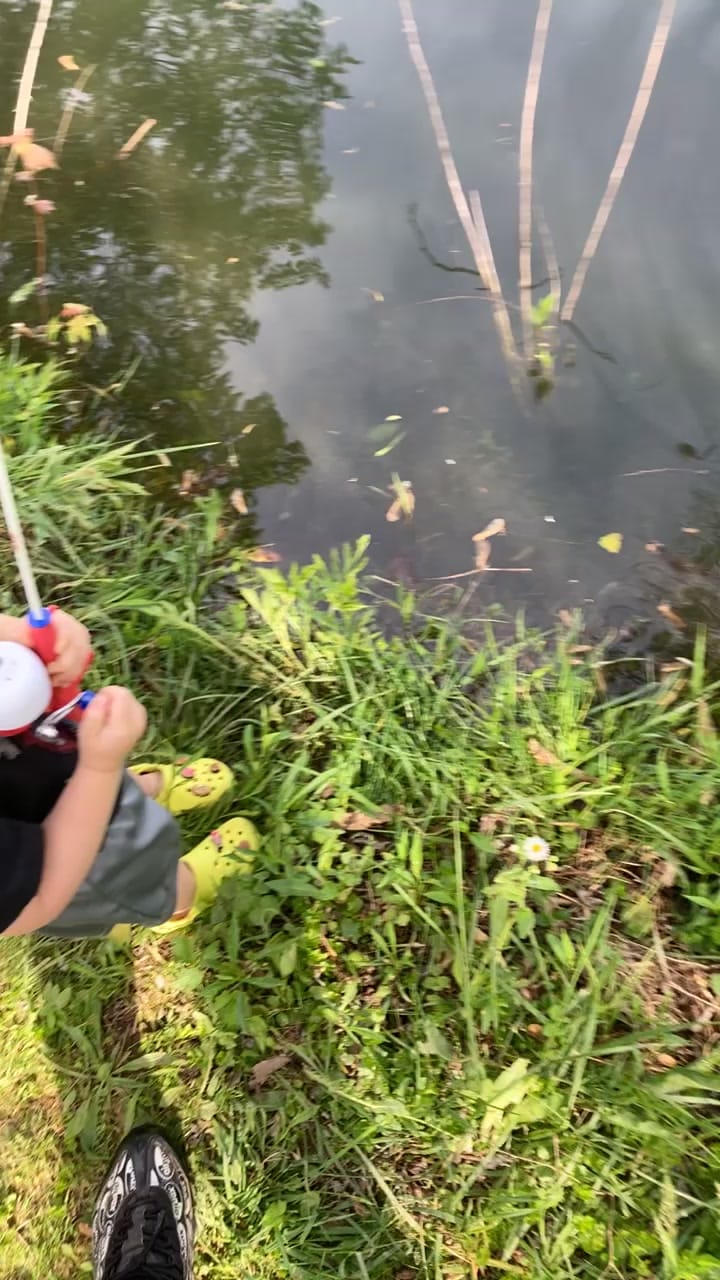 Post 1 by space on Instagram (video)