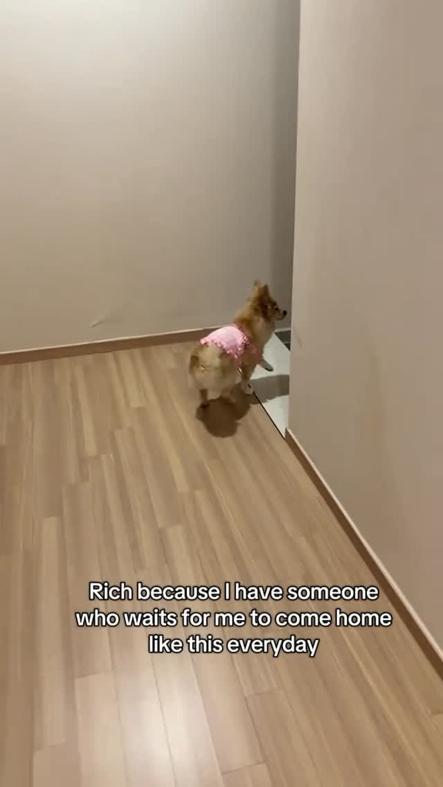 Post 1 by Mia 🐶 & Via 👩🏻 on Instagram (video)