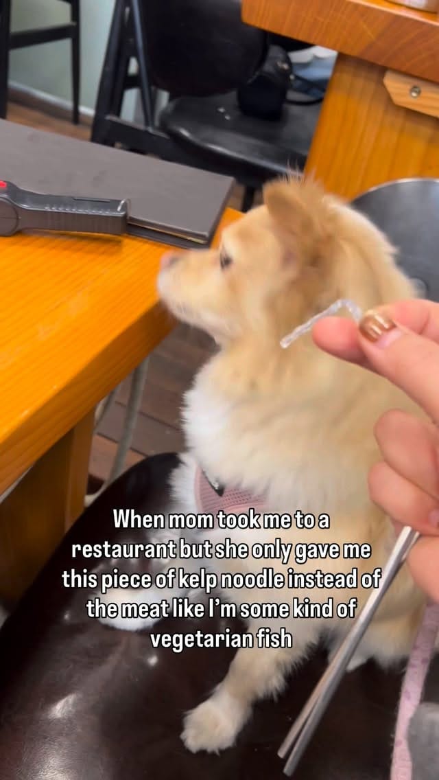 Post 10 by Mia 🐶 & Via 👩🏻 on Instagram (video)