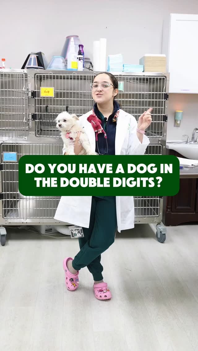 Post 3 by Vet For Pet Animal Hospital on Instagram (video)