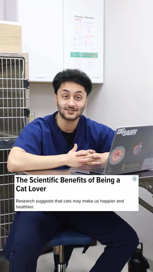 Post 7 by Vet For Pet Animal Hospital on Instagram (video)