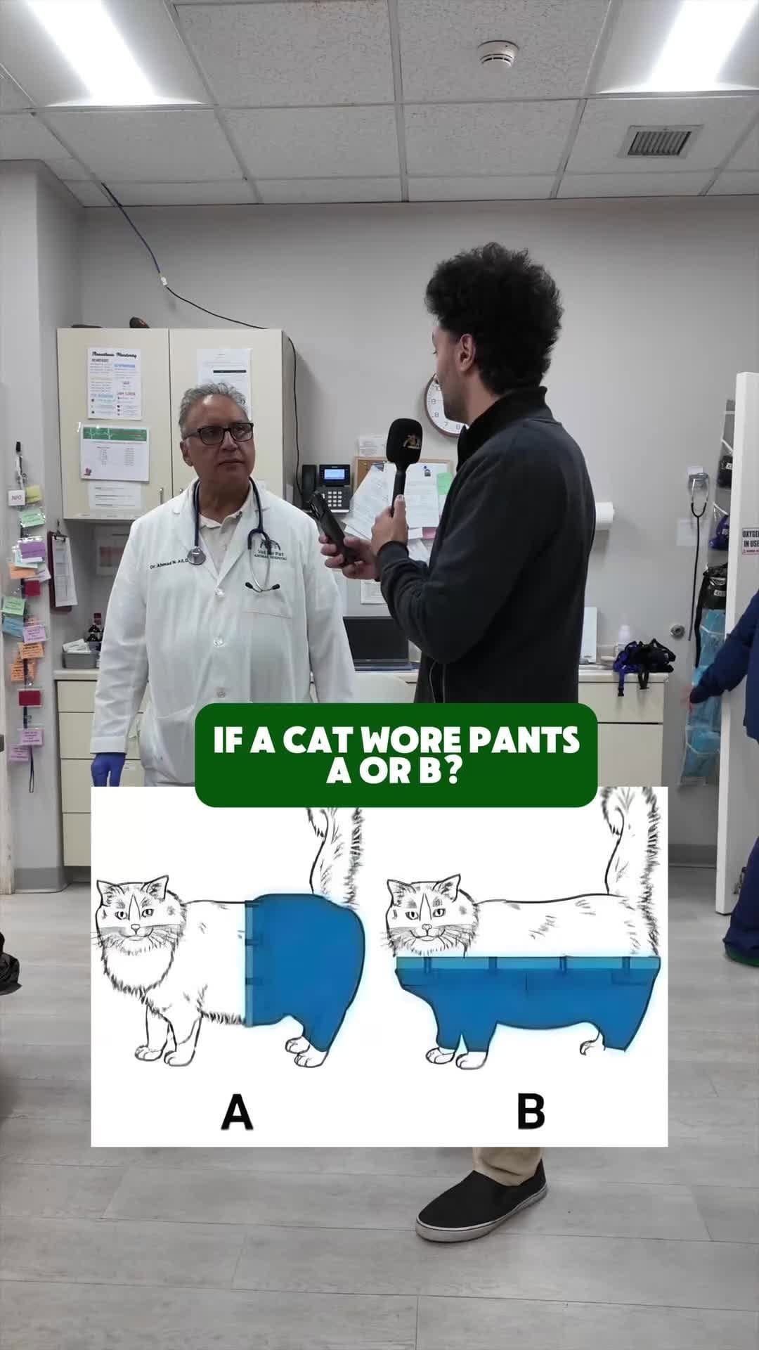 Post 9 by Vet For Pet Animal Hospital on Instagram (video)