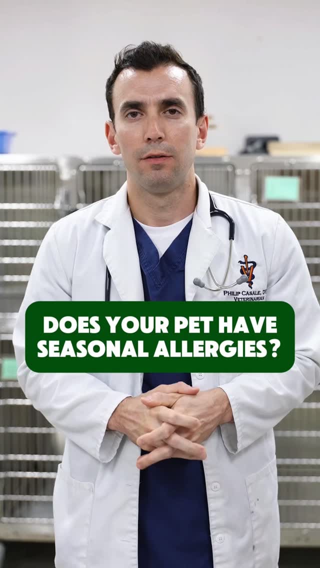 Post 6 by Vet For Pet Animal Hospital on Instagram (video)