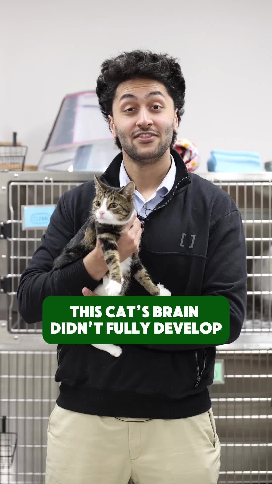 Post 8 by Vet For Pet Animal Hospital on Instagram (video)