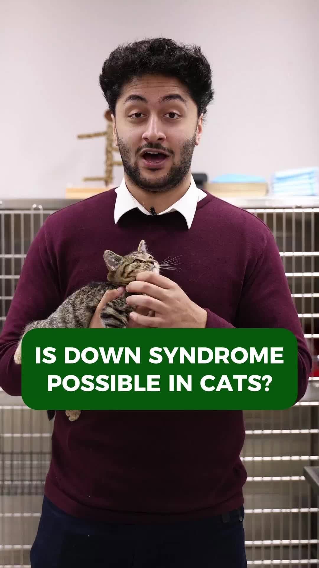 Post 10 by Vet For Pet Animal Hospital on Instagram (video)