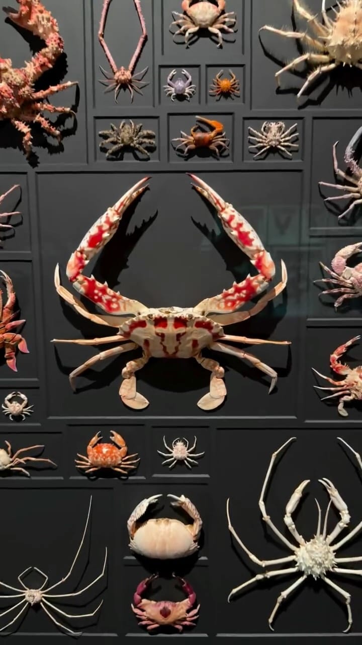 Post 2 by Christopher Marley on Instagram (video)
