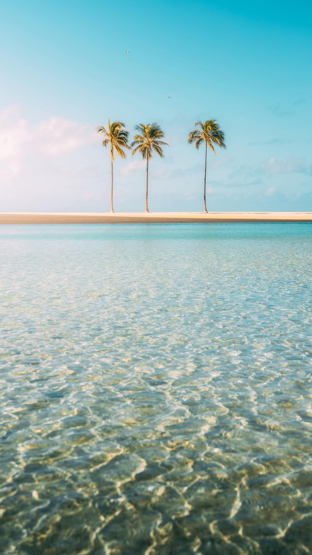 Post 8 by SHARMAINE | Travel & Adventure | Photography on Instagram (video)
