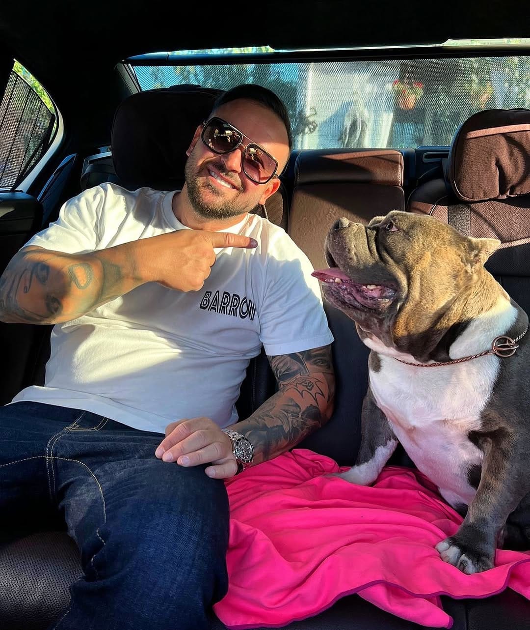 Post 7 by Gold Star Bully on Instagram (image)