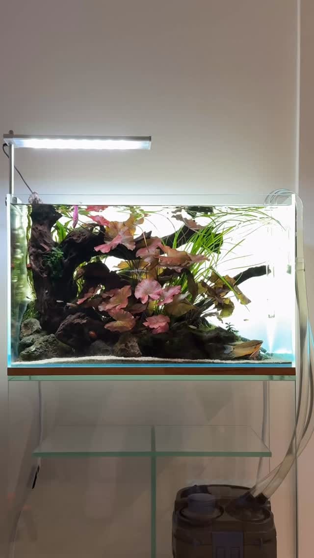 Post 4 by Alex on Instagram (video)