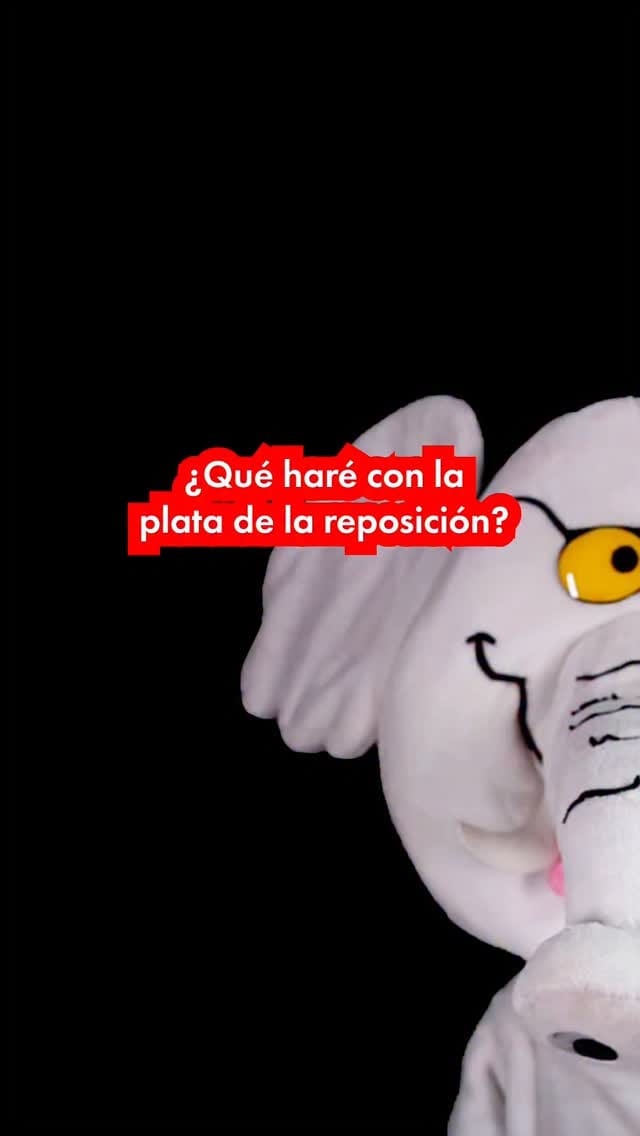 Post 9 by Elefante Blanco on Instagram (video)