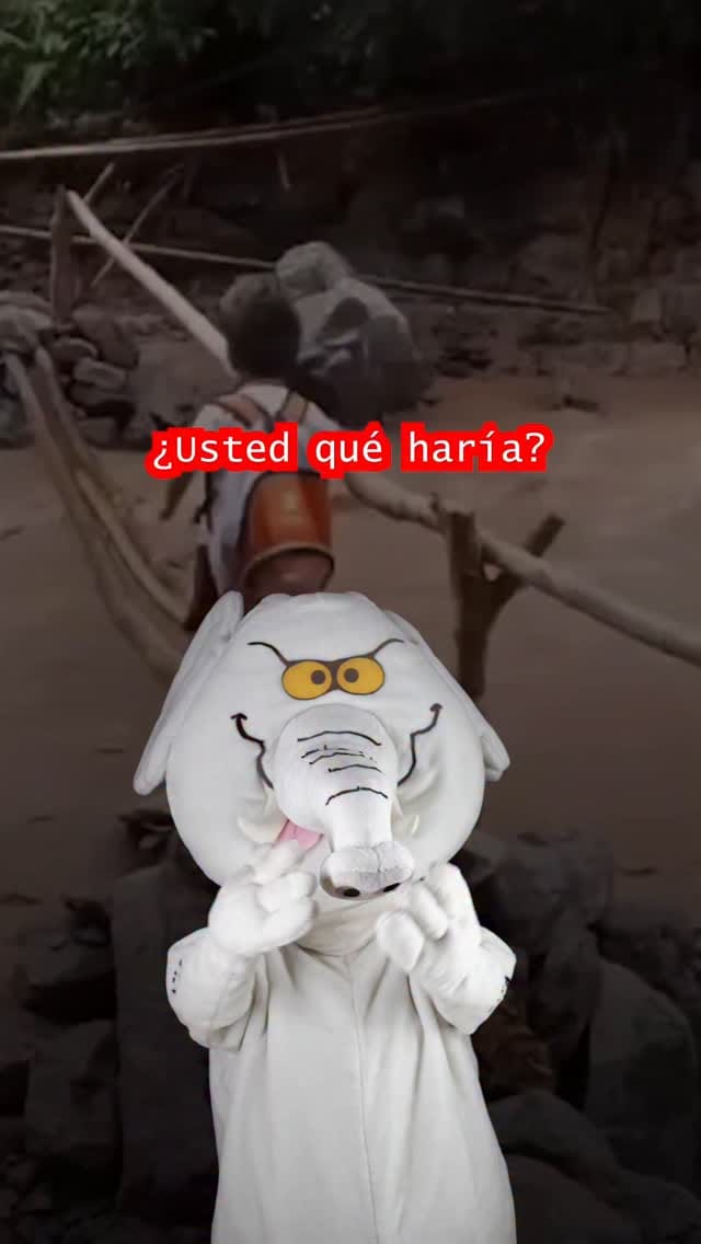 Post 7 by Elefante Blanco on Instagram (video)
