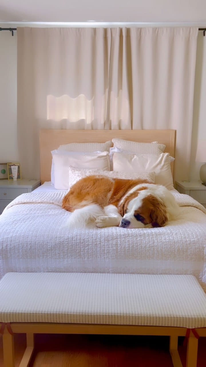 Post 5 by Kota + Denver on Instagram (video)
