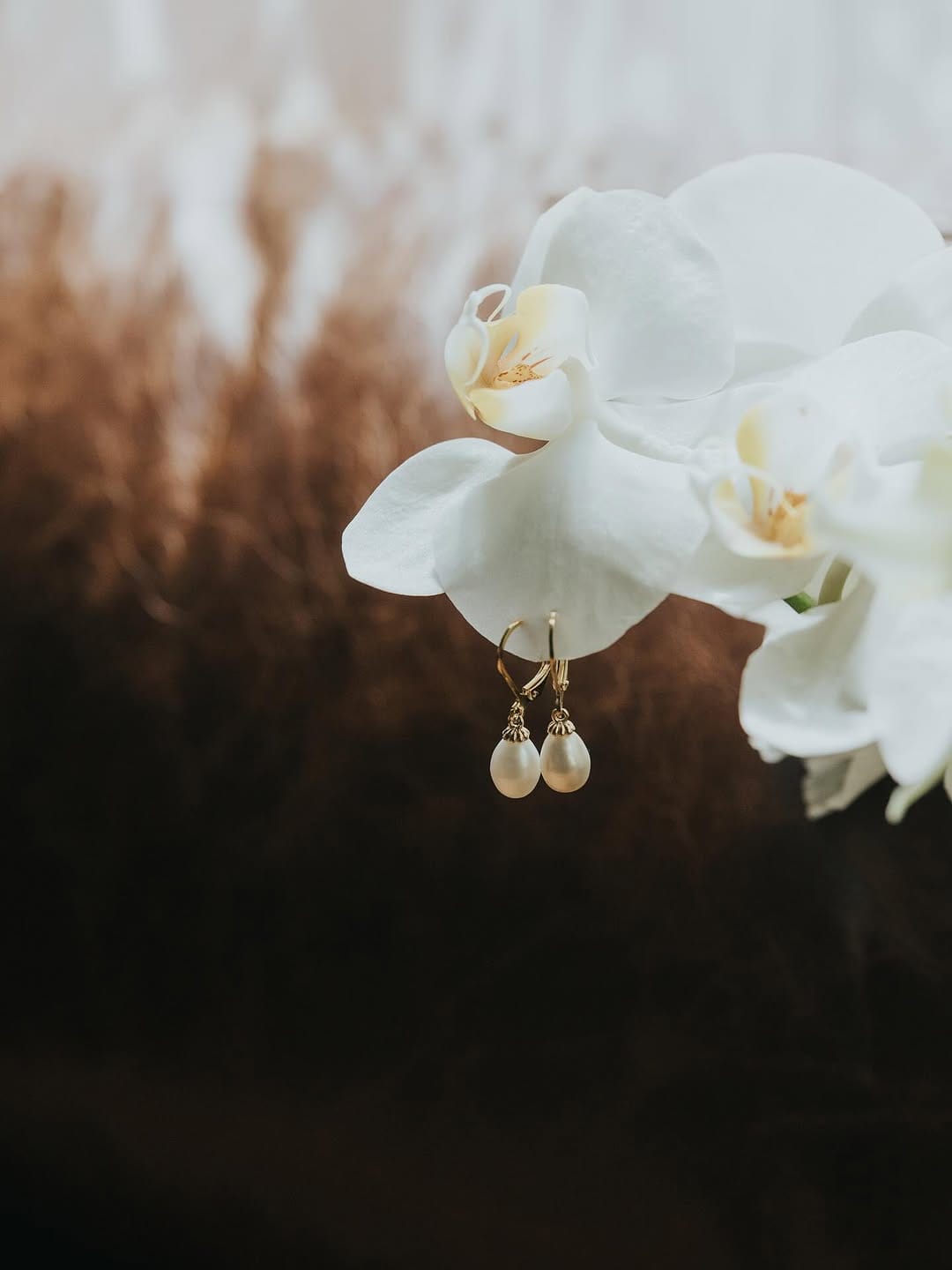Post 6 by Cecy Padilla on Instagram (image)
