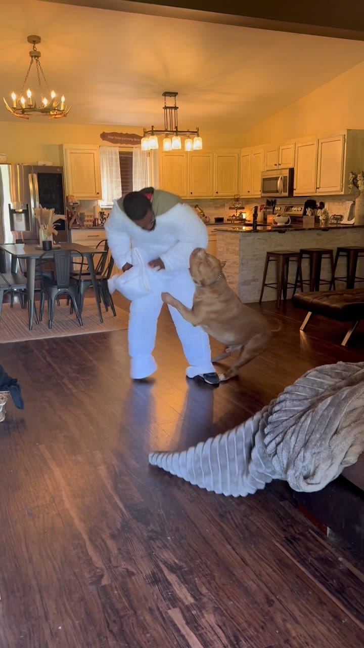 Post 4 by XLTX Bullies on Instagram (video)