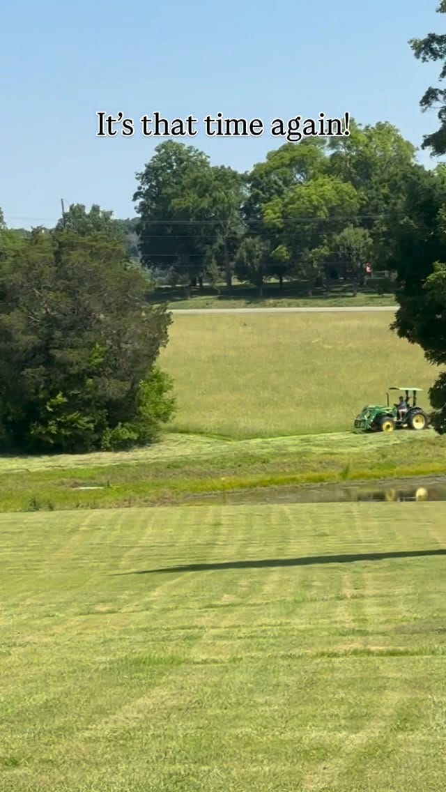 Post 3 by Gene Acres on Instagram (video)