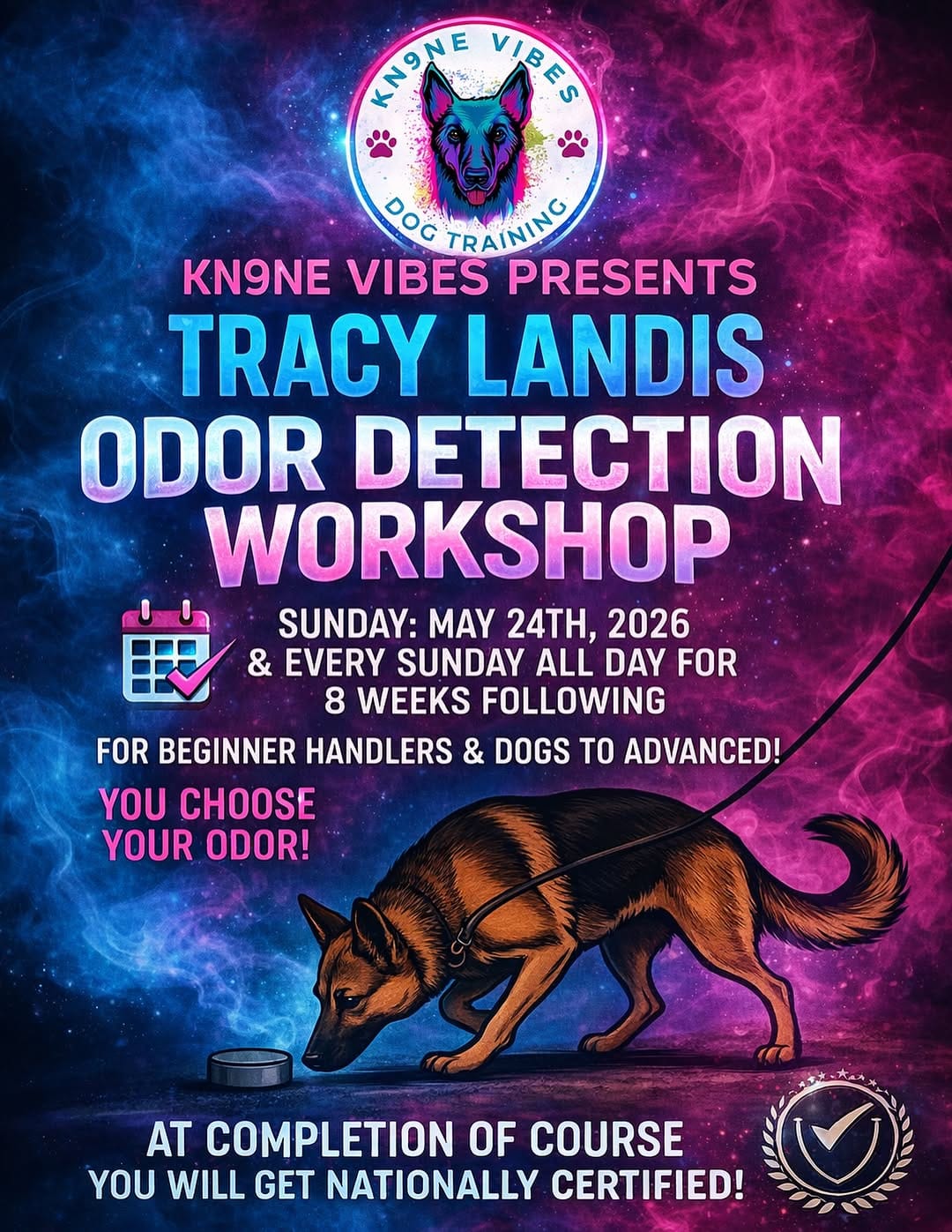 Post 8 by Seven Houston Dog Training on Instagram (image)