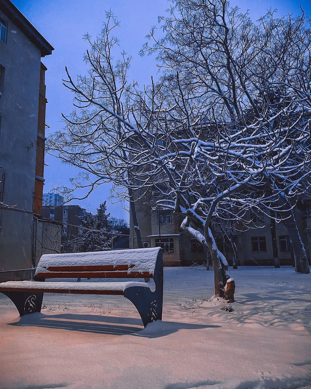 Post 10 by Musayev Vaqif 🇬🇪 on Instagram (image)