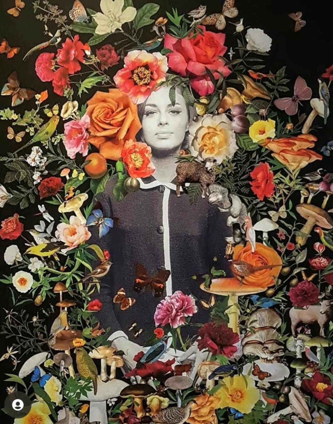 Post 8 by Karen Coull on Instagram (image)