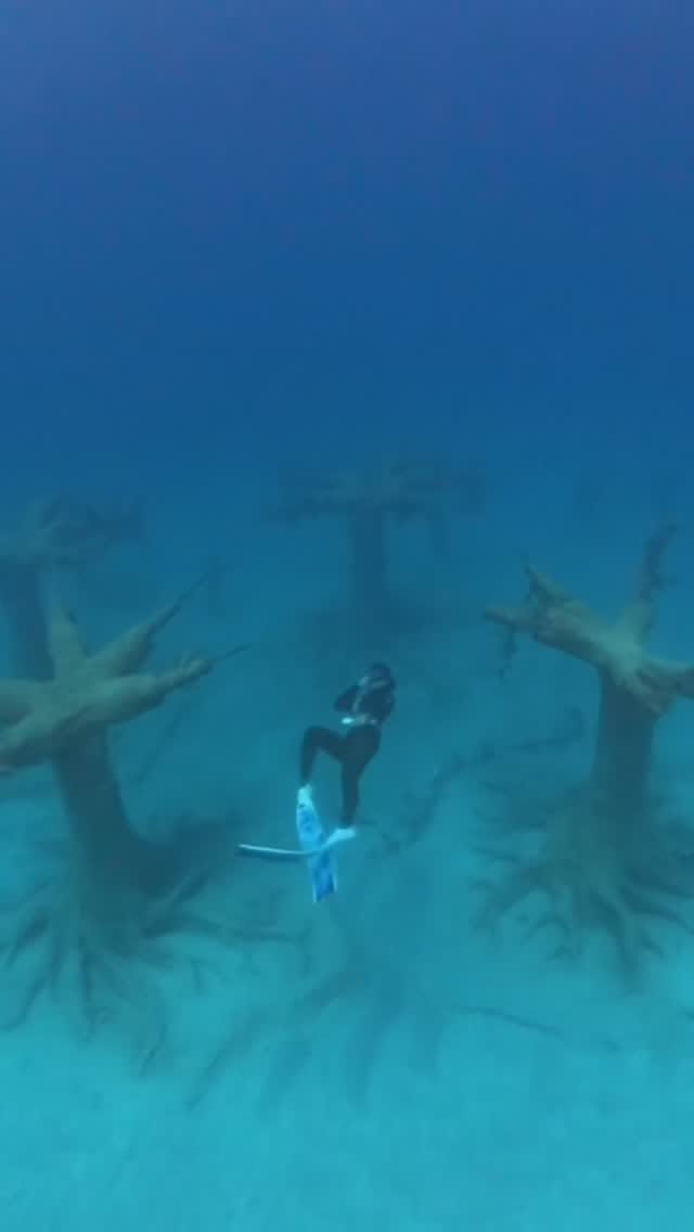 Post 5 by Marina🧜🏼‍♀️Freediving 🇨🇾Cyprus on Instagram (video)