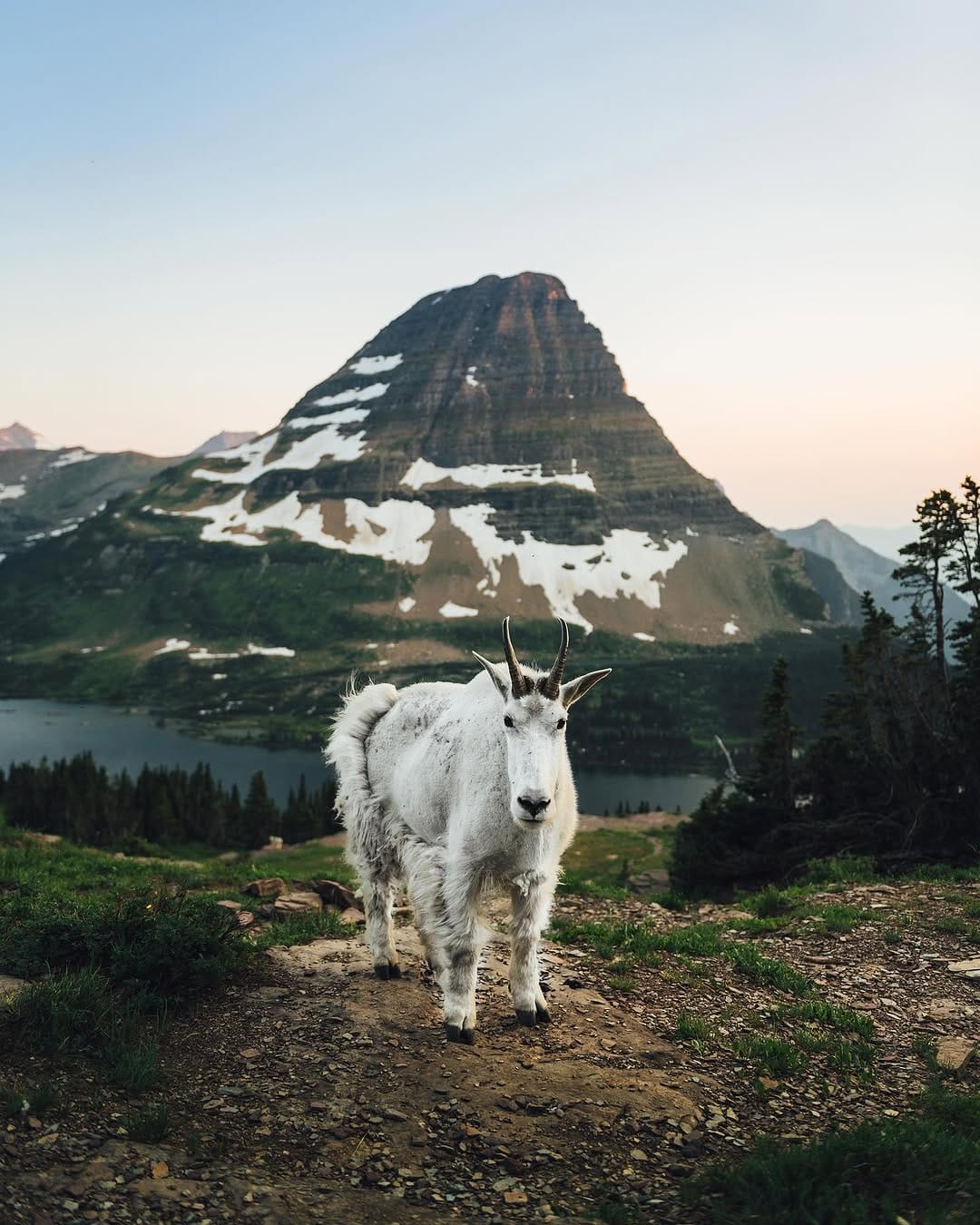 Post 9 by Justin Borja | Texas Photographer on Instagram (image)