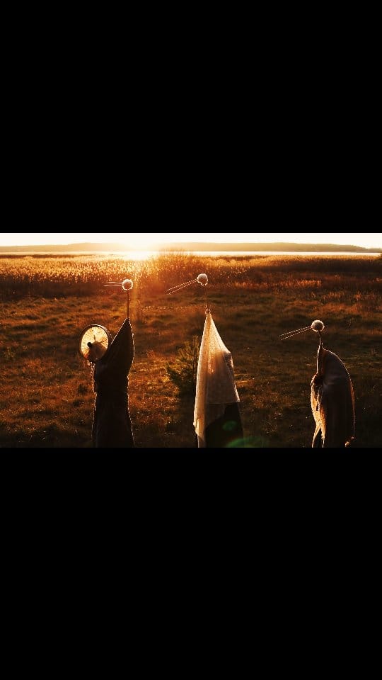 Post 6 by Diāna Renžina on Instagram (video)